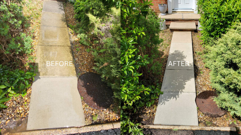 Beige And Green Minimalist Photo Collage Daily Vlog YouTube Thum